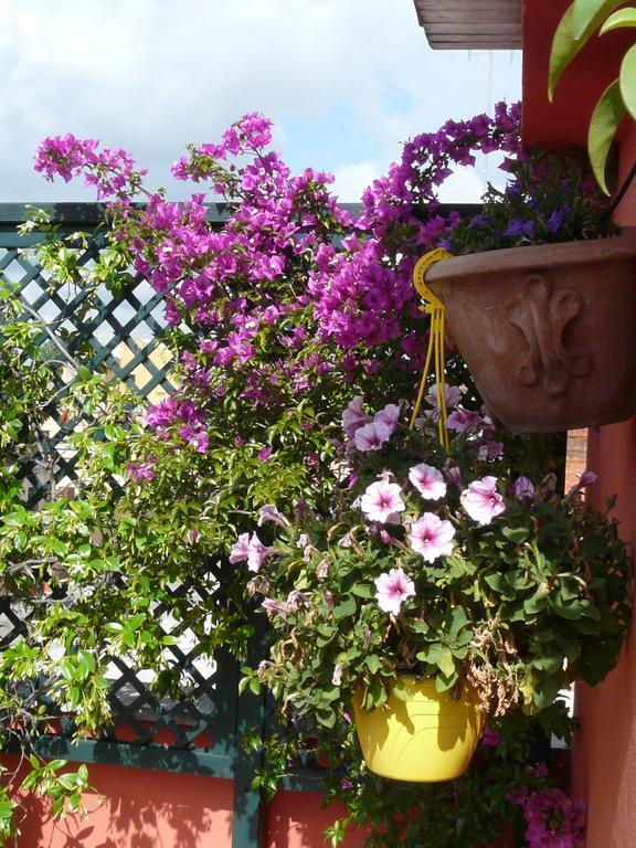 روما Li Rioni Bed & Breakfast المظهر الخارجي الصورة